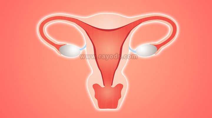 琼结县做代孕中介,美国试管婴儿女性子宫内膜薄会影响生育吗？_上海供卵试管
