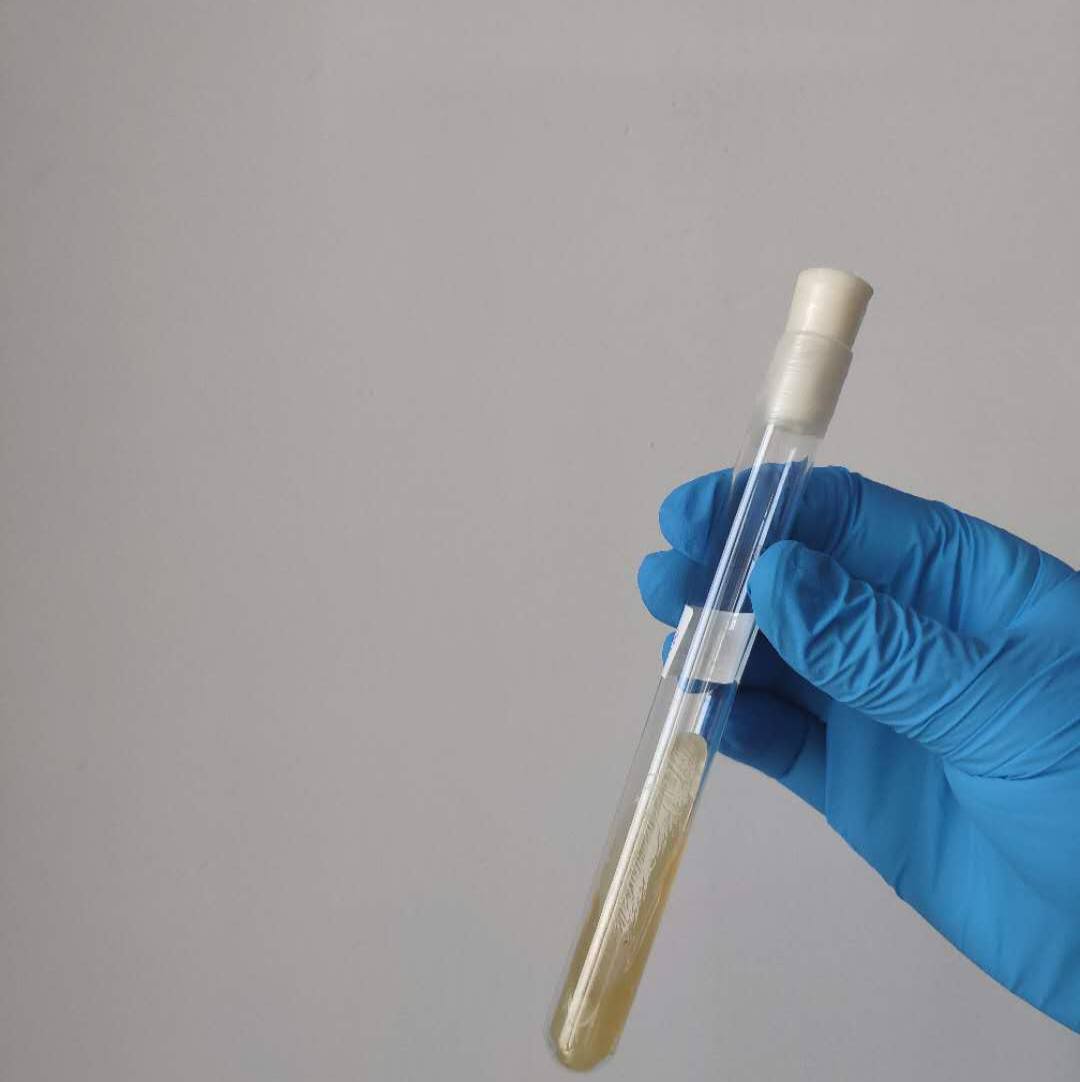 囊胚移植13天出血的原因?移植后出血,代怀孕价钱