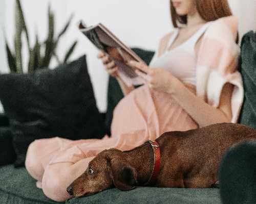胚胎移植后可不可以蹲着小便？移植后坐便好还是蹲便好？,代怀生子宝宝