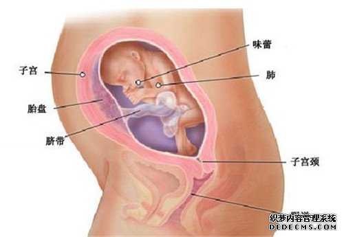 广州找代孕女子_广州代孕的孩子血型_好孕国际咨询：子宫内膜薄做试管婴儿要