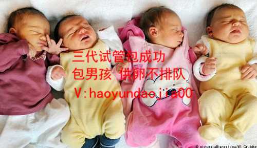 做供卵试管要满足什么条件_广州金贝供卵生殖中医院_代怀孕助孕集团_代孕的女