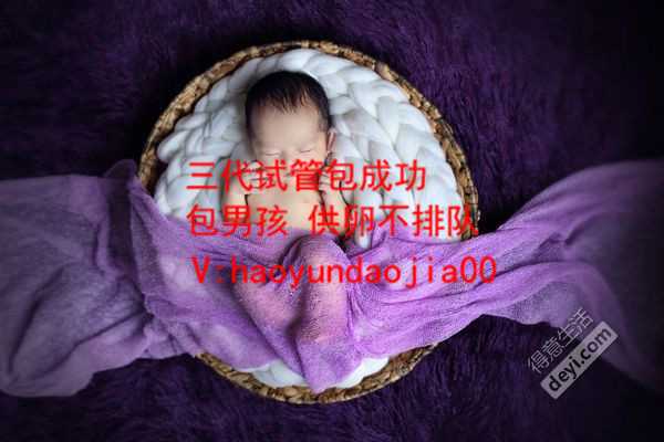 广州供卵自怀的程序_广州高龄用供卵试管成功率_护士人工捐卵的紫苏叶孕妇可
