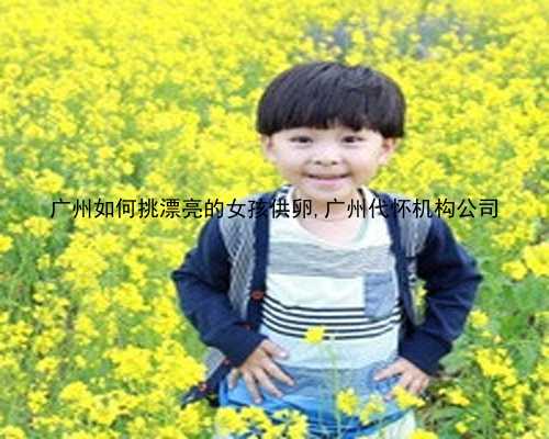 广州做助孕的步骤|2X07v_3S499_女儿突发白血病，离婚父母违背伦理，为脐带血被