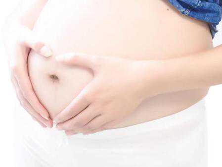 绝经的女人还会怀孕吗&二胎供卵&孕妇吃荠菜流产是真的吗