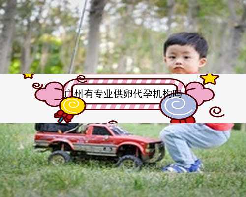 广州代孕是真实的嘛|LKyz4_4yOgP_okdf9_24岁备孕期间可以吃乌鸡白凤丸补气血吗？